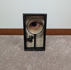 Unique Magnifying Eye and Spider Shadow Box!